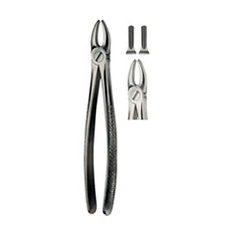 Tooth Extracting Forceps