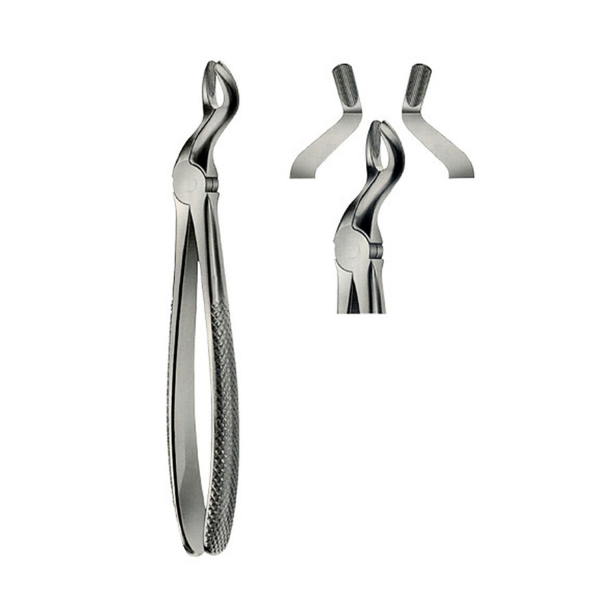 Tooth Forceps for upper Wisdom Teeth