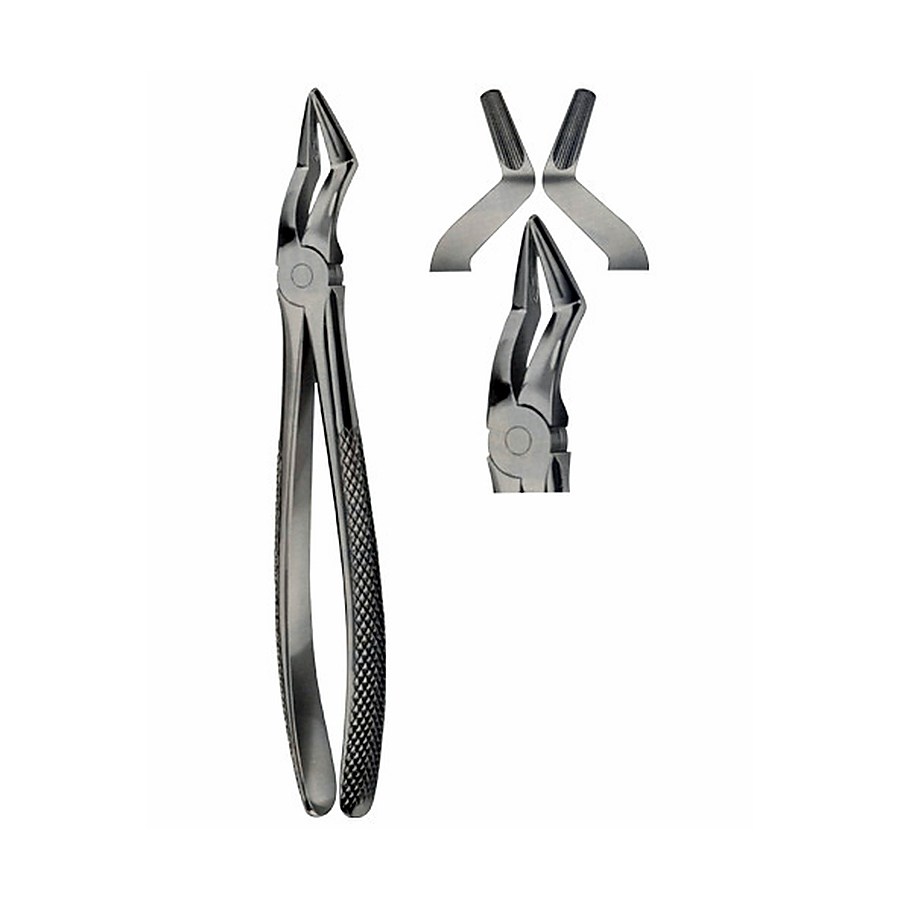 Tooth Forceps for upper roots Separating Forceps