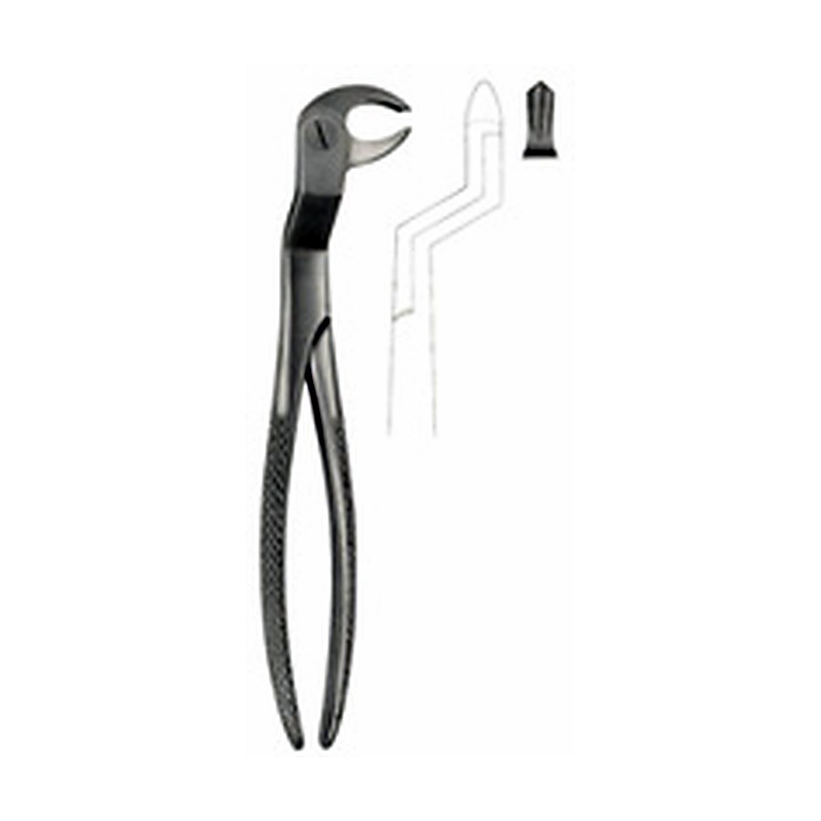 Tooth Forceps for Lower Molars & wisdom Teeth