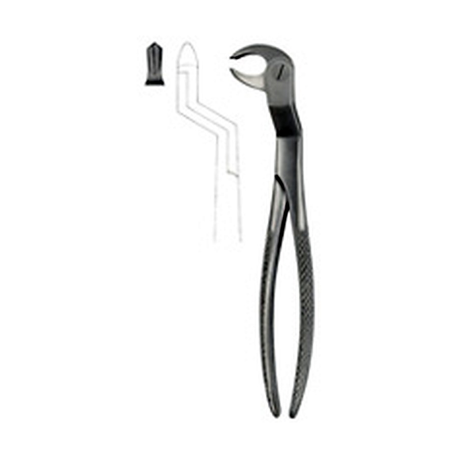 Tooth Forceps for Lower Molars & wisdom Teeth