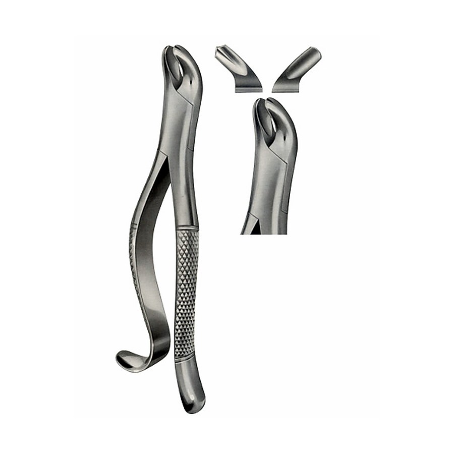 Tooth Forceps, American Pattern for upper Molars