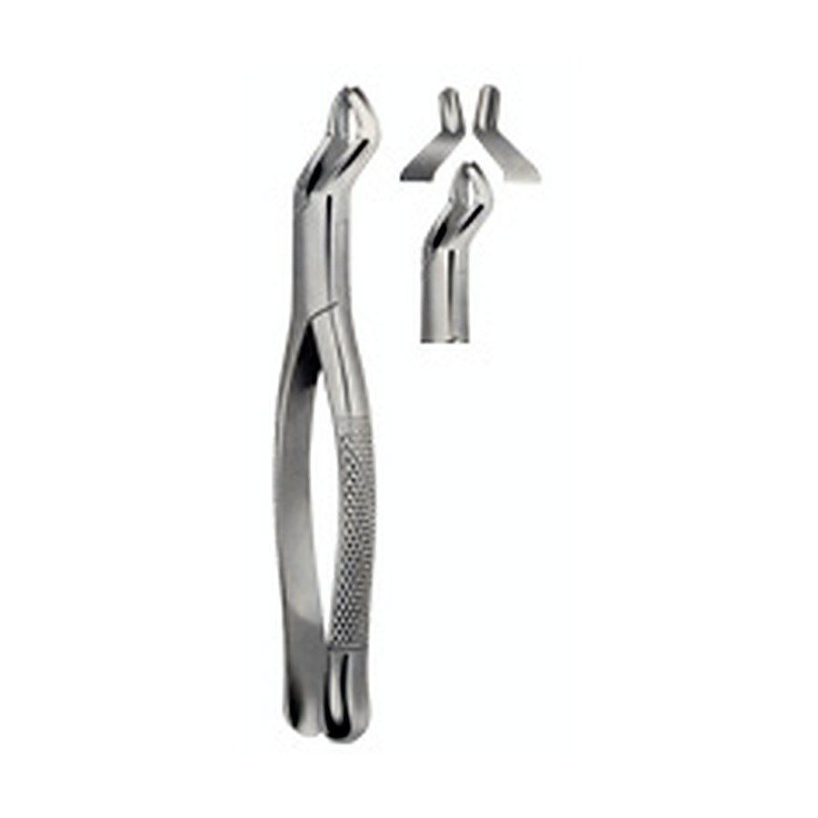 Tooth Forceps, American Pattern for upper Molars for Wisdom Teeth