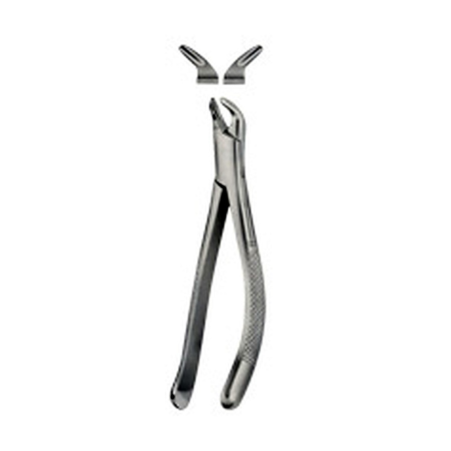 Tooth Forceps for Children, American Pattern
