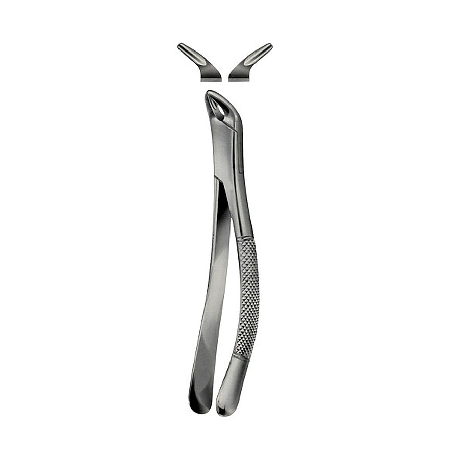 Tooth Forceps, American Pattern for Lower incisors ,Bicuspids Molars & roots
