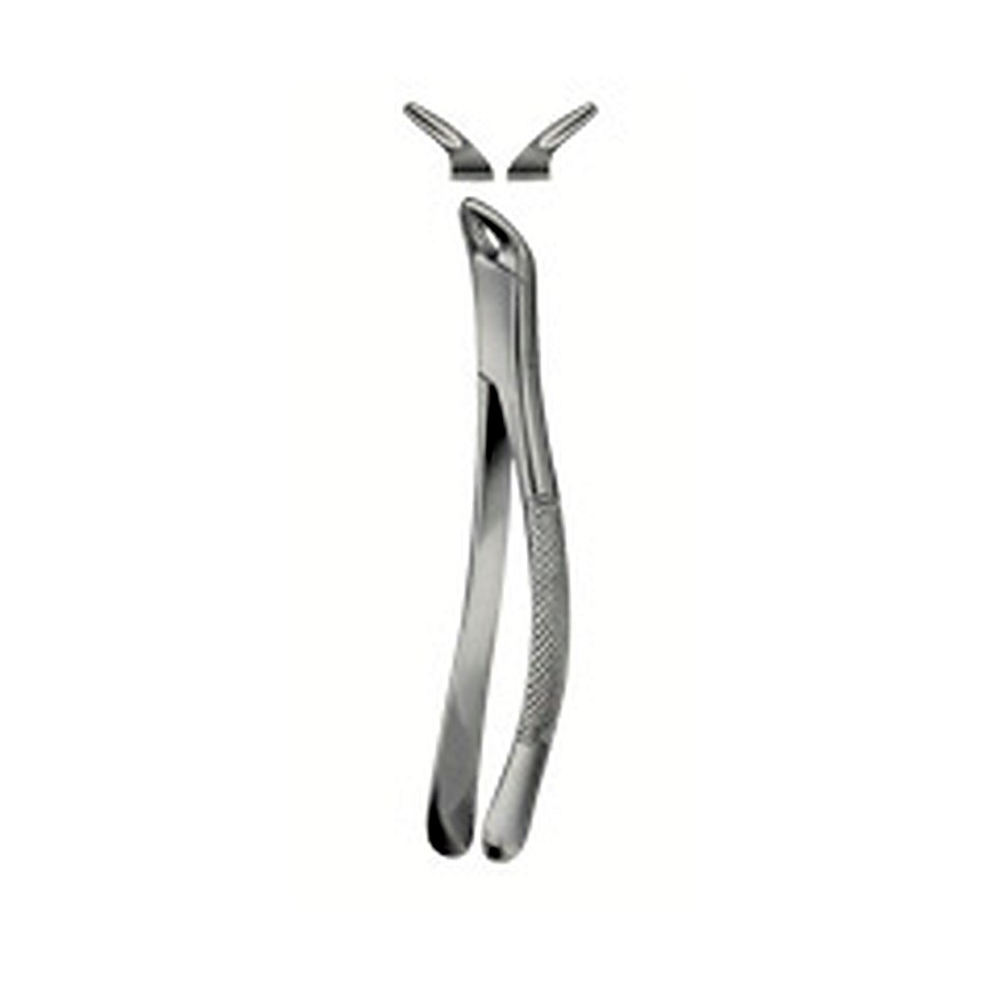 Tooth Forceps, American Pattern for Lower incisors ,Bicuspids Molars & roots