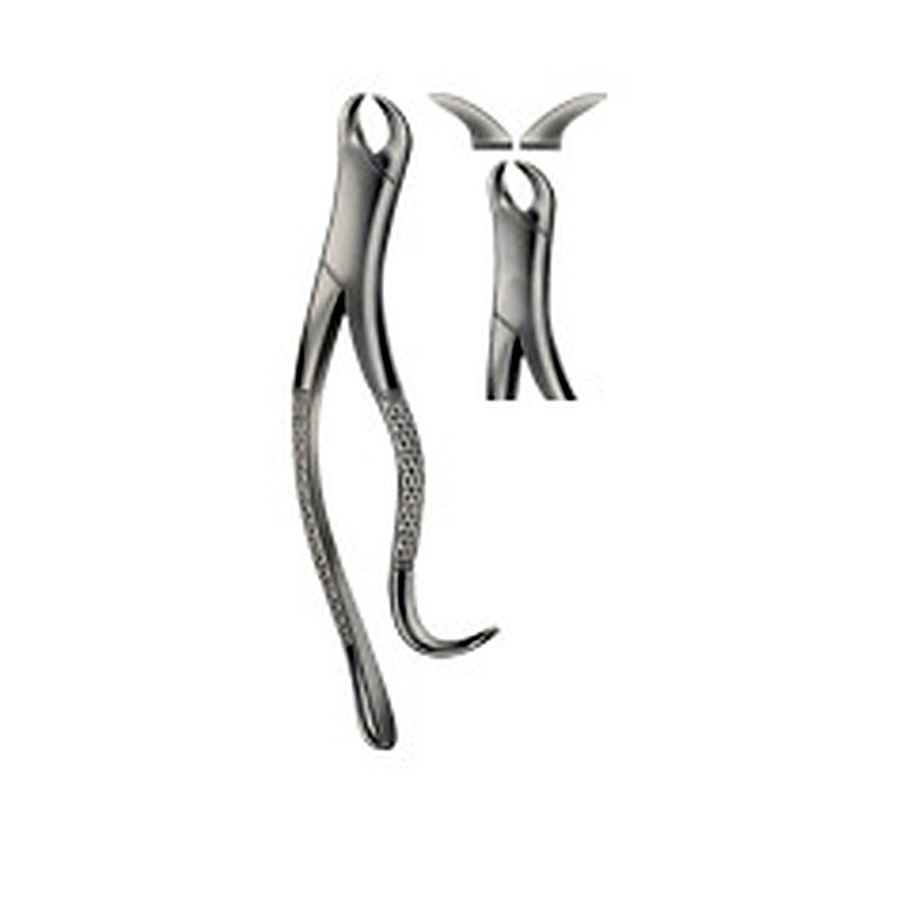 Tooth Forceps, American Pattern for Lower incisors ,Bicuspids Molars & roots
