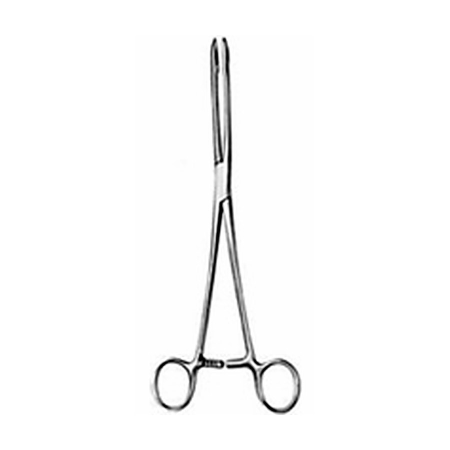 Sponge Forceps