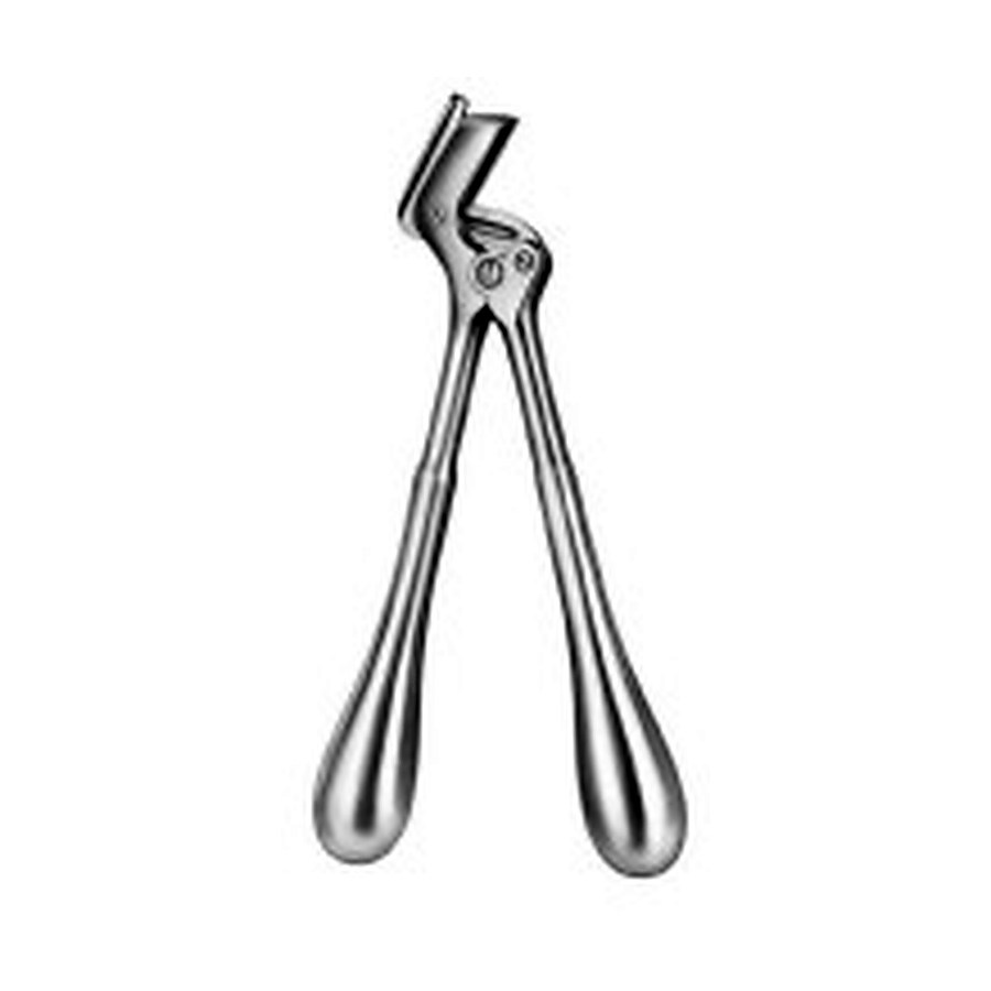 Plaster Shears