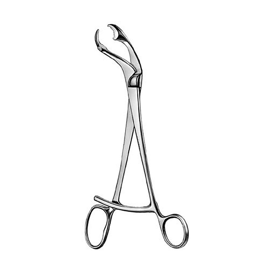 Bone Holding Forceps