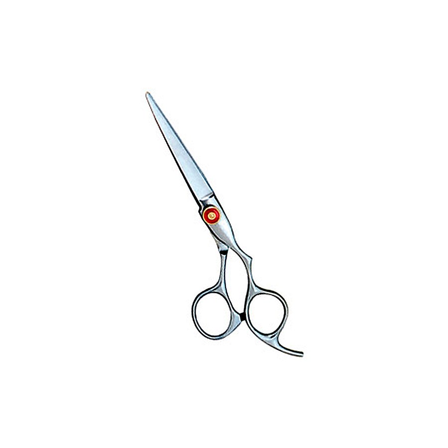 Hair cutting Scissors