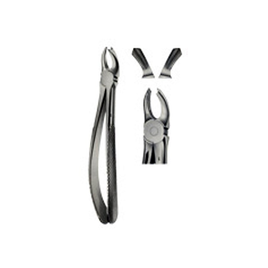 Tooth Forceps for upper Mullers