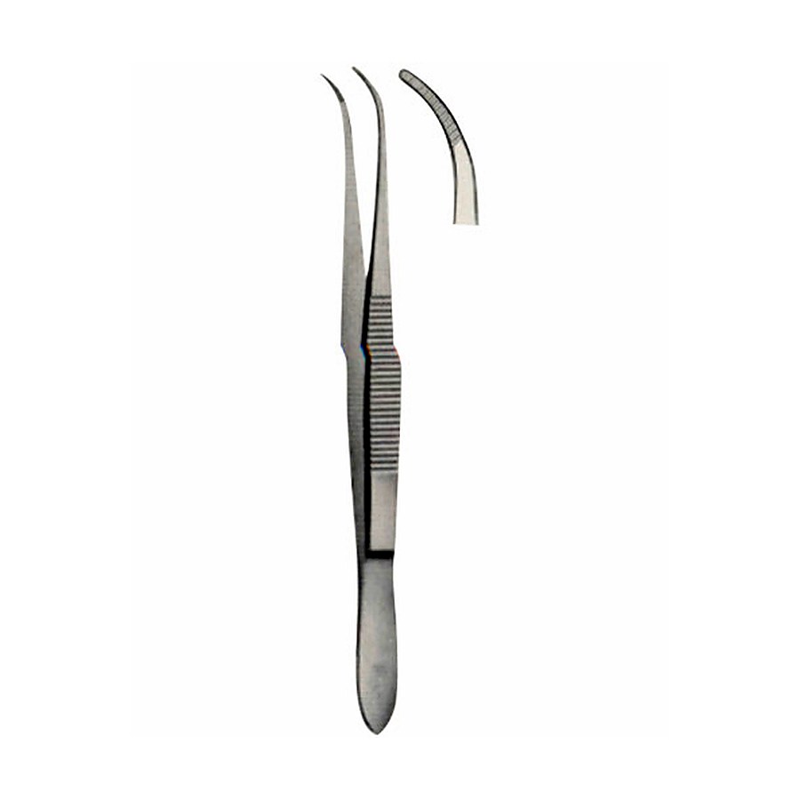Dissecting Forceps