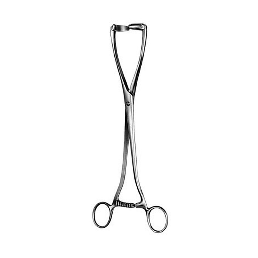 Uterine Seizing Forceps