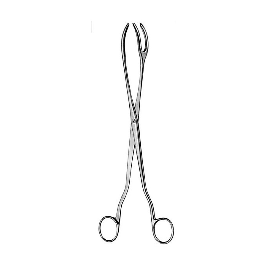 Sterilizing Forceps