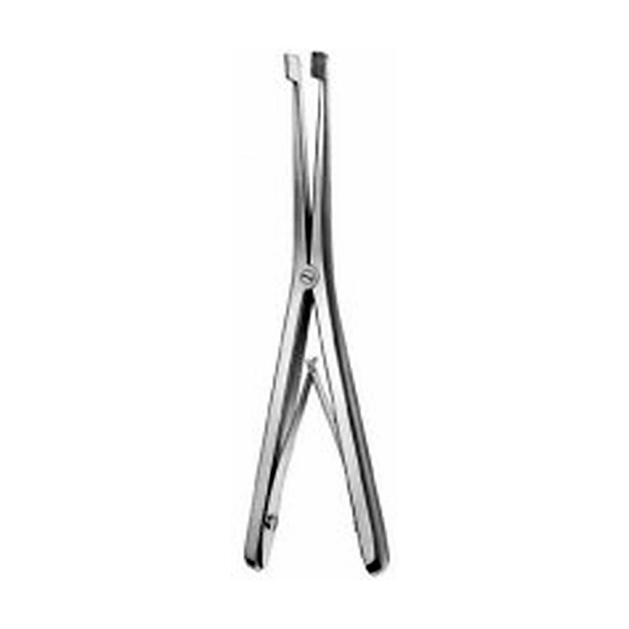 Palatal Expander