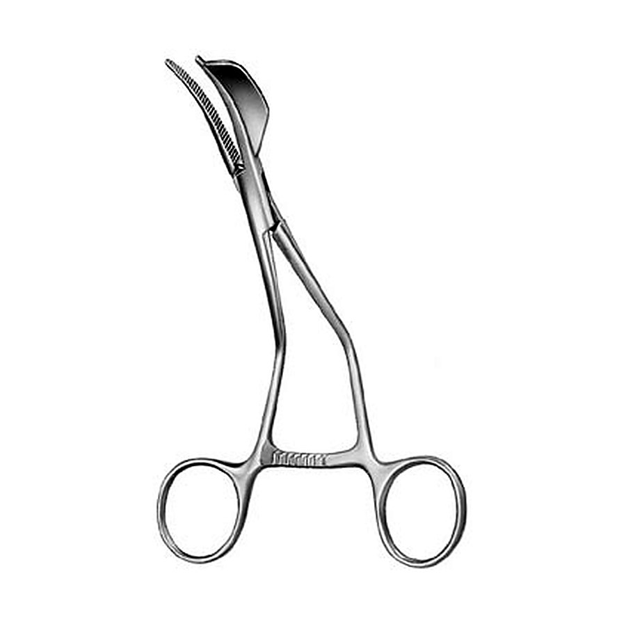 Ramus Clamps