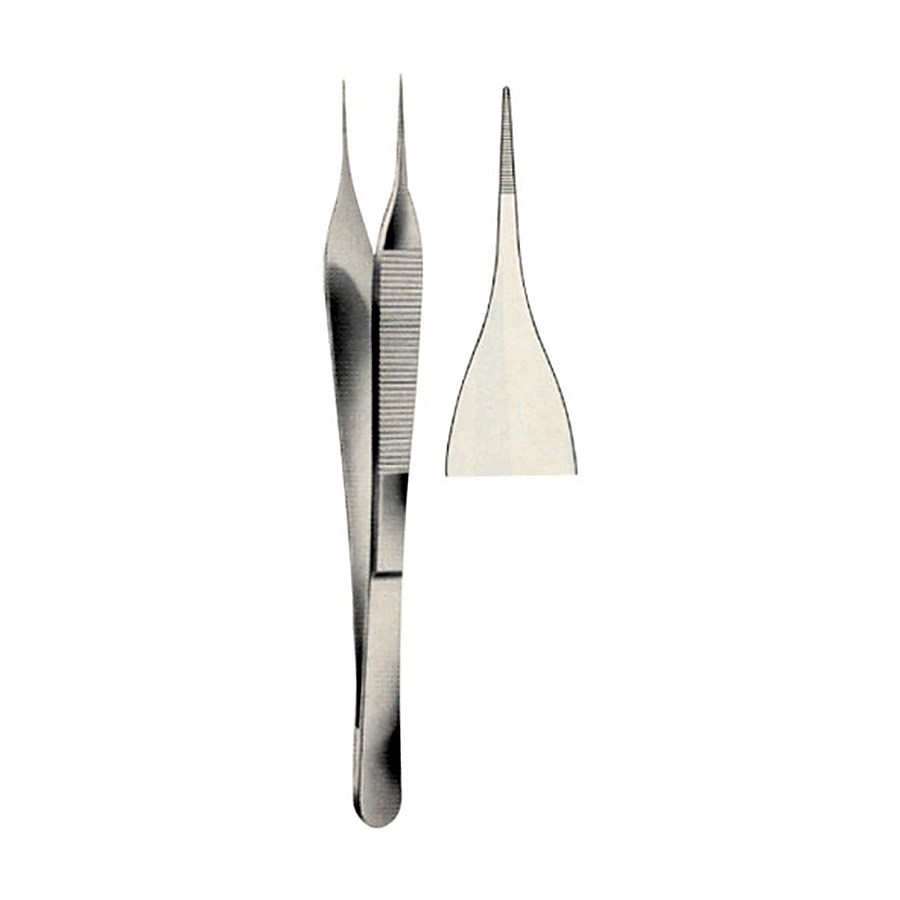 Dissecting Forceps